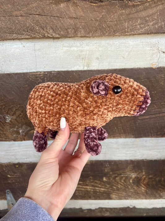 Capybara
