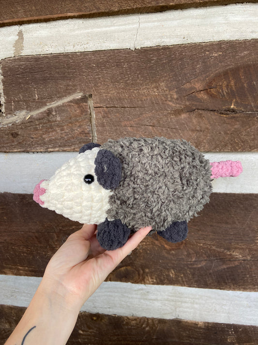 Earl the Opossum