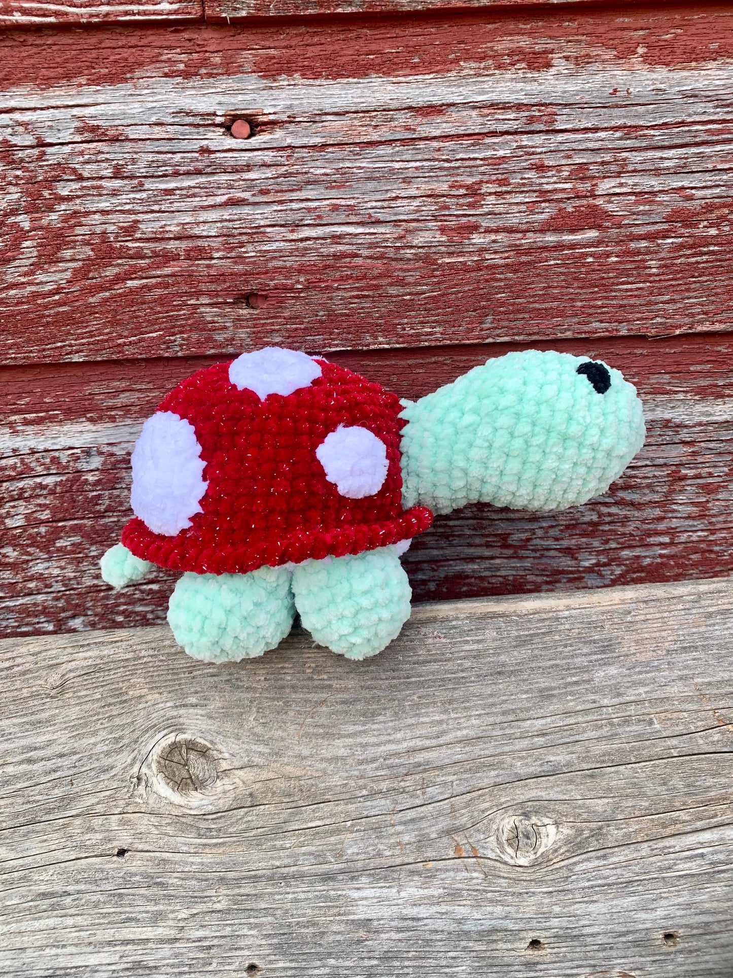 Mushi the Mushroom Turtle