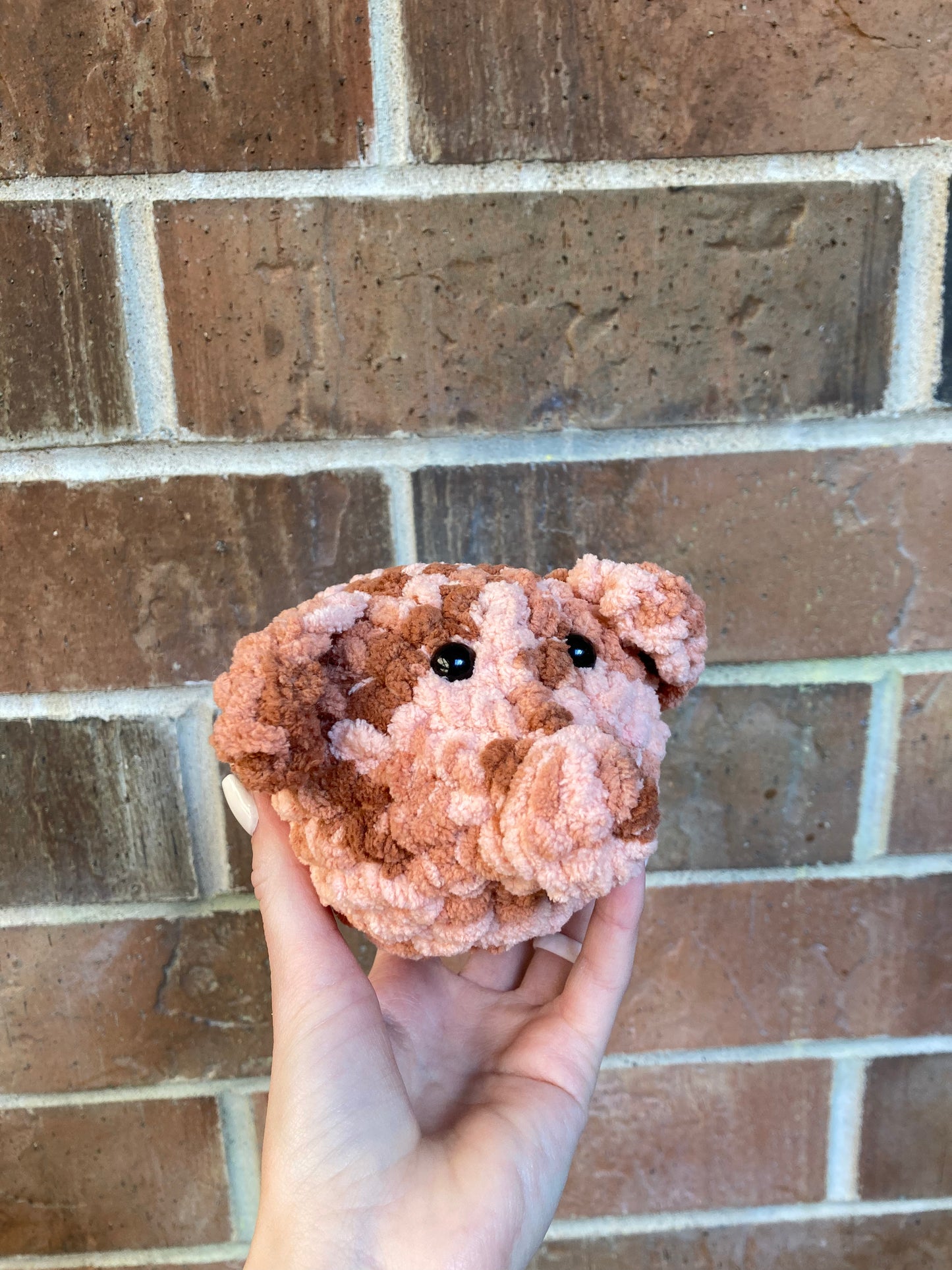 Mystery pocket piggy