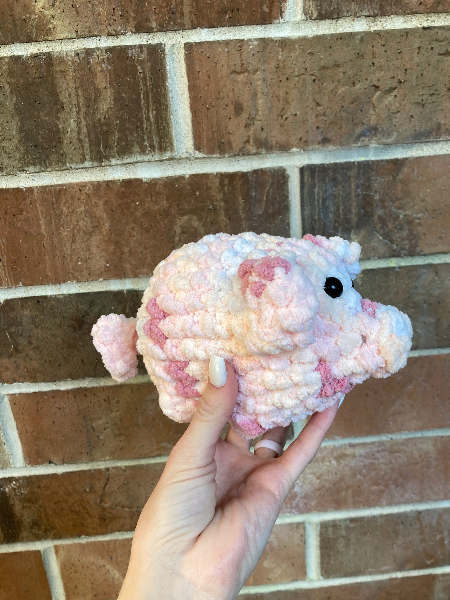 Mystery pocket piggy