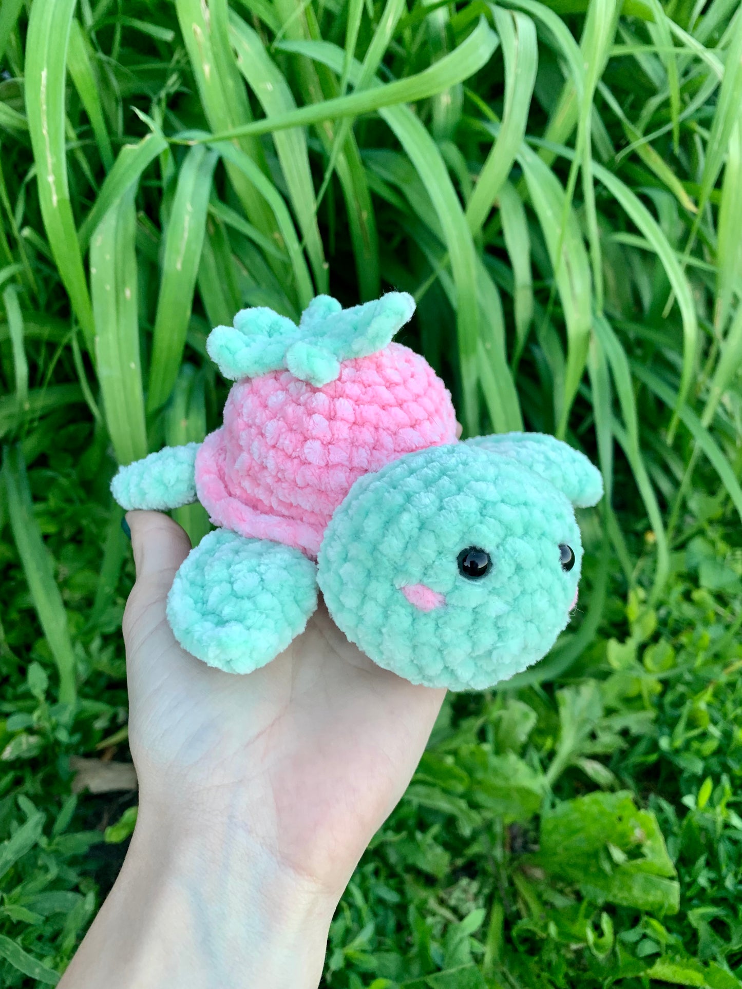 Strawberry Turtle