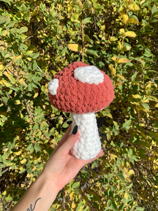 Mushroom🍄