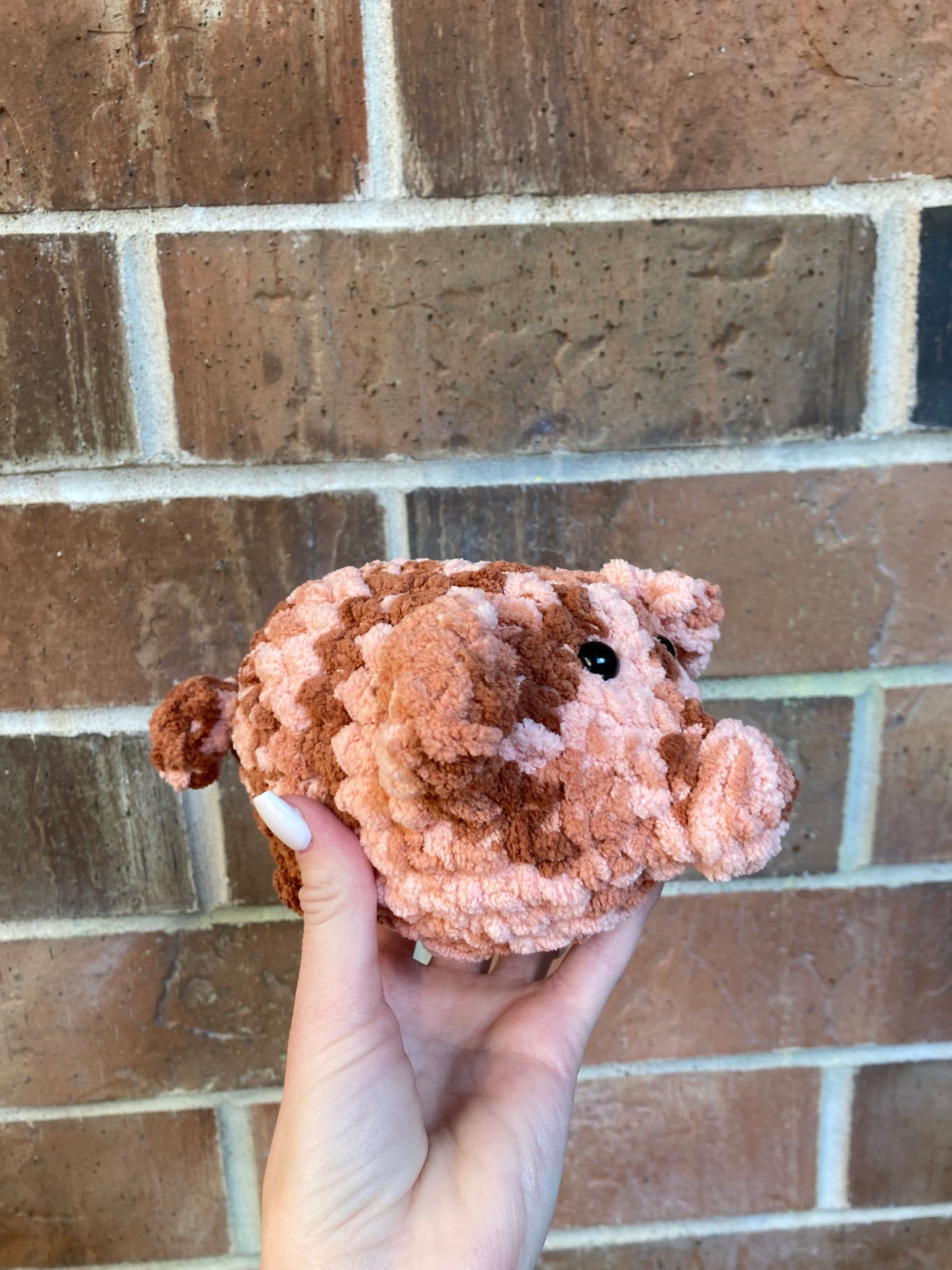 Mystery pocket piggy