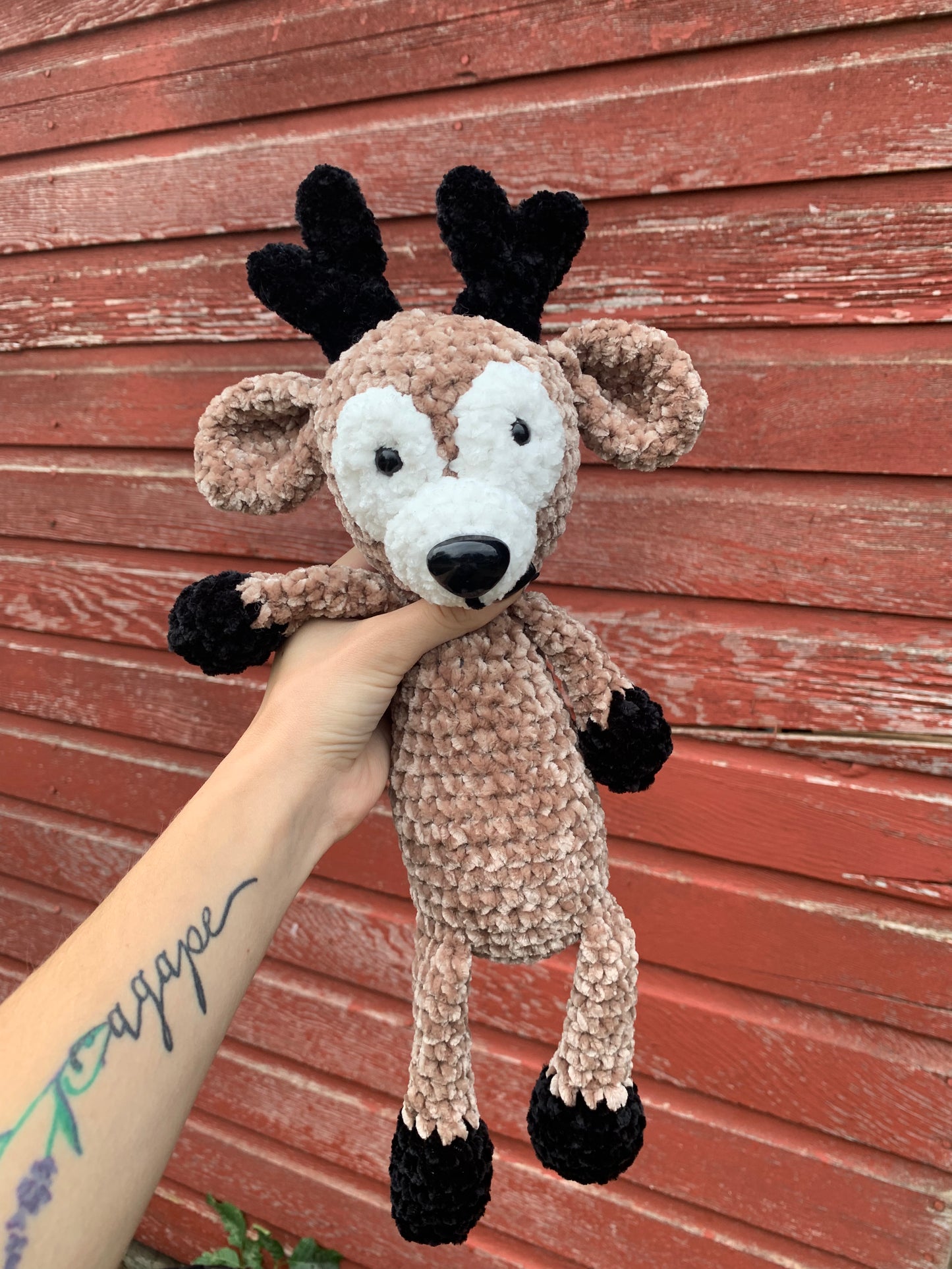 Dexter the Deer