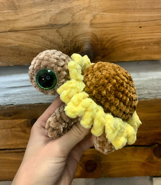 Sunflower turtle