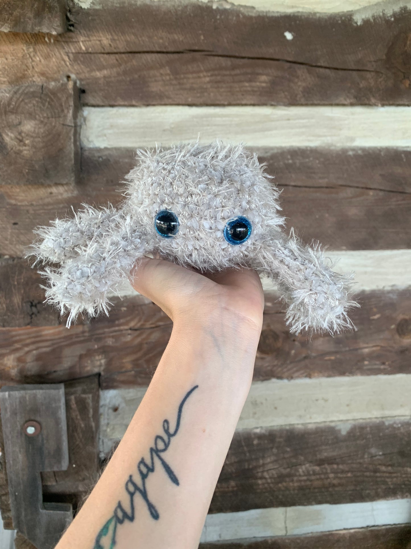 Sharlotte the Spider