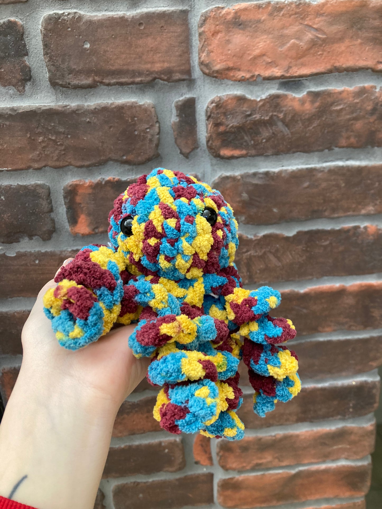 Mystery leggy octopus