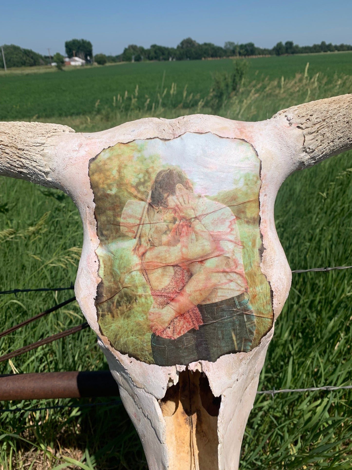 Custom cow skull