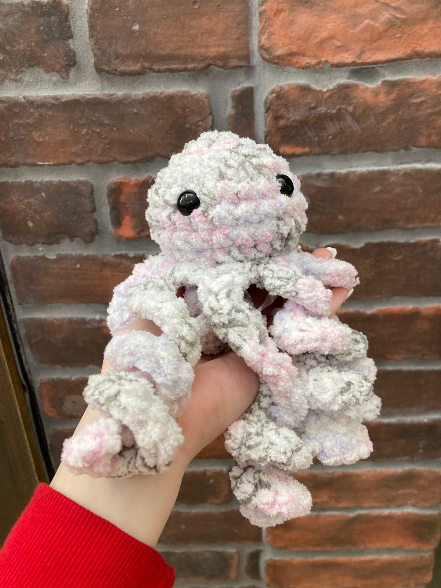 Mystery leggy octopus