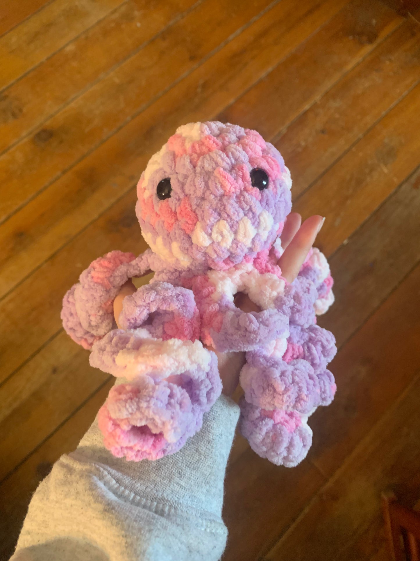 Mystery leggy octopus