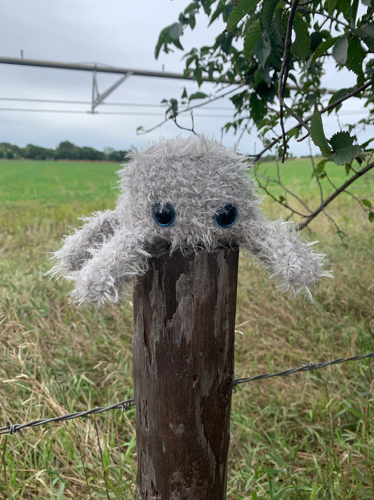 Sharlotte the Spider