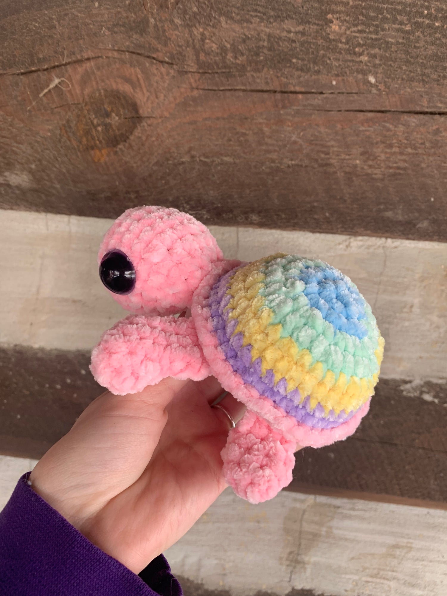 MARCH TURTLE DROP🐢