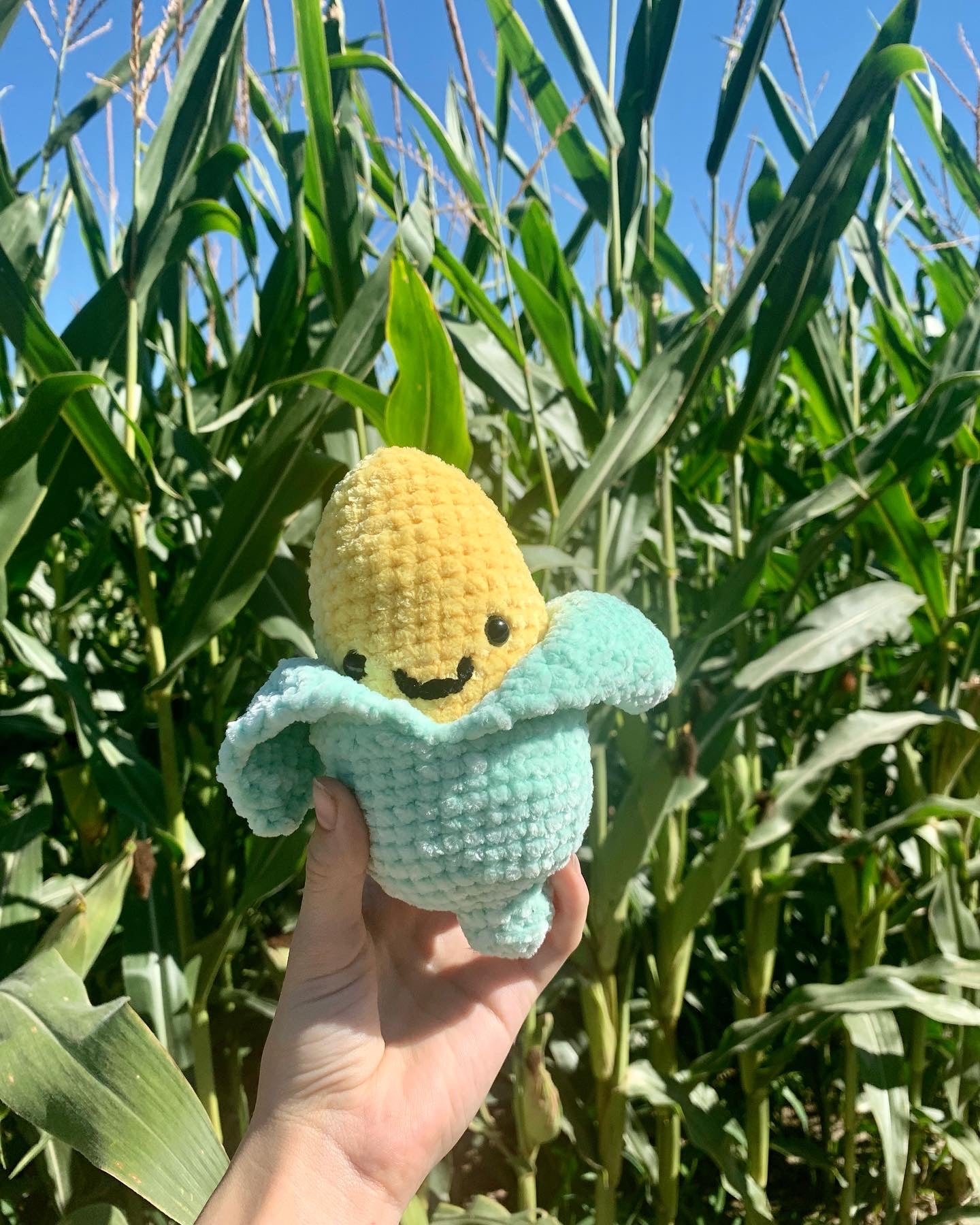 It’s Corn!